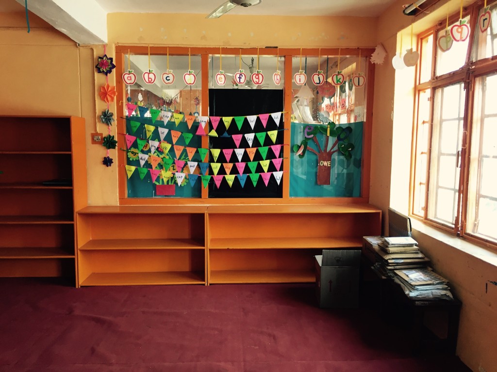 The shelves wait for books!